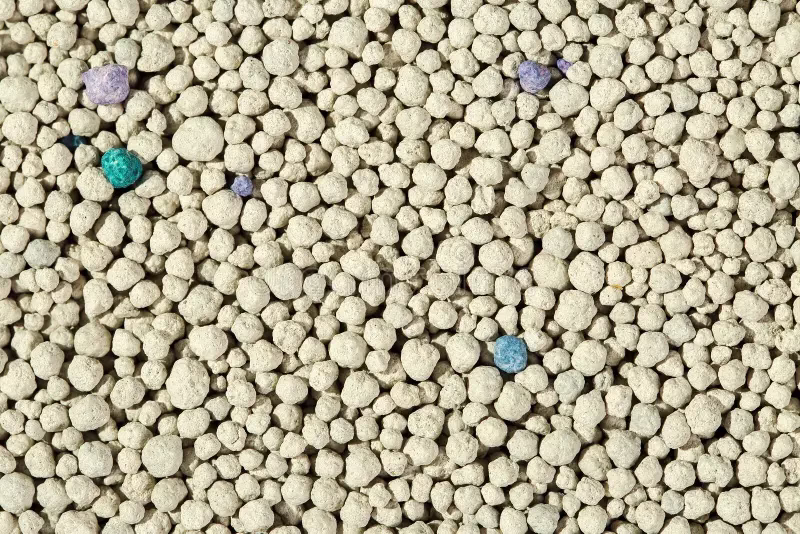 Ano ang mga Disadvantage ng Bentonite Cat Litter?