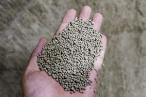 Clumping Cat Litter Proseso ng paggawa