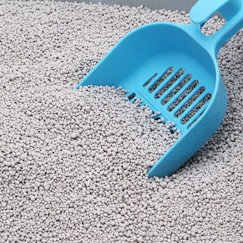 Mabilis na Magpa-freshen Up: Comprehensive Breakdown of How to Get Rid of Cat Litter Smell Fast