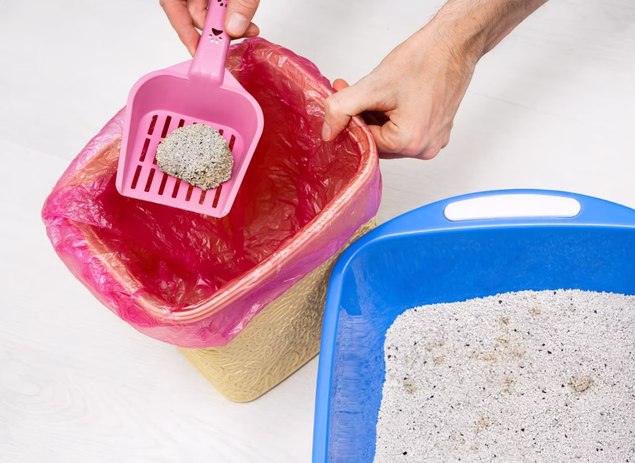 Nasubukan at Pinagkakatiwalaan: Bakit Namumukod-tangi ang Ultra Clumping Cat Litter