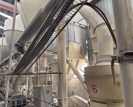 Automated bentonite cat litter production workshop